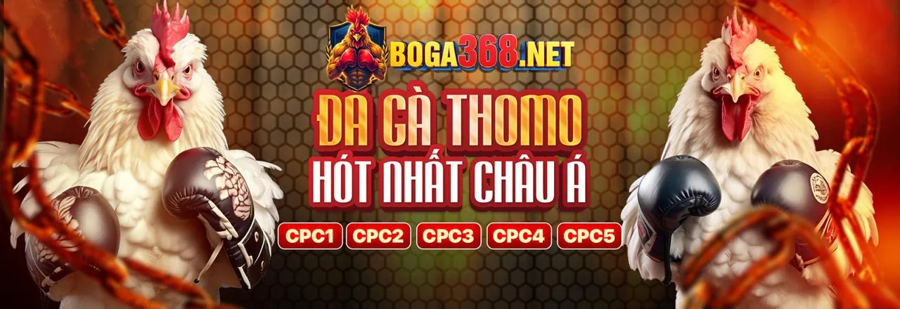 Sòng bạc trực tuyến 8Kbet8 với liên kết mới nhất 2026