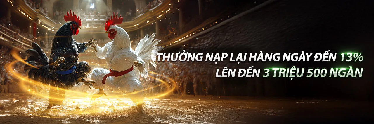 Tổng hợp các trò chơi đa dạng tại 8kbet8 link mới